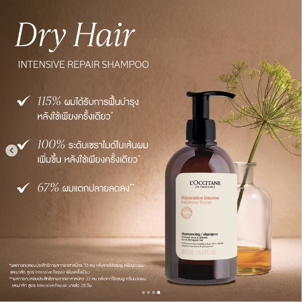 ٻҾ2 ͧԹ : L'occitane Intensive Repair Shampoo 500 ml. (ǻ) ٵ Ѻ ç 3  鹼ᵡѺëاҡ 3  ҧçѺ鹼 ᵡ ж١
