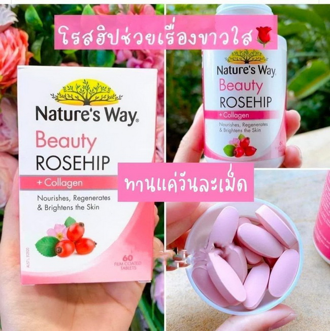 ٻҾ3 ͧԹ : Nature's Way Beauty Rosehip+Collagen 60 Film Coated Tablets ਹ ѺʡѴҡ Rosehip ش仴ԵԹժ+е鹡÷ӧҹͧਹ Ŵ͹ ҧǡШ ͵ҹ͹ ا鹿лѺШҧ
