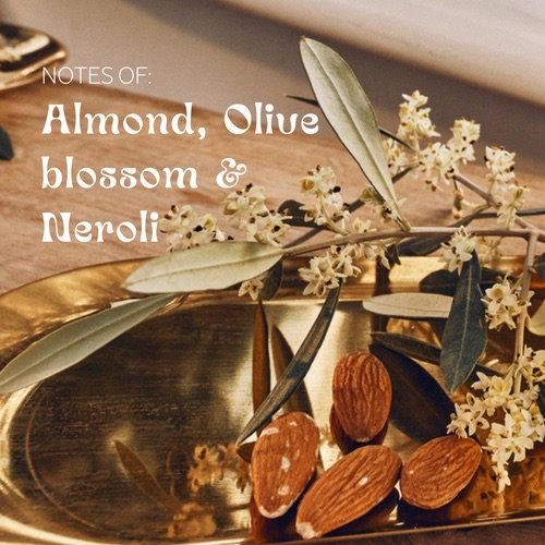 ٻҾ6 ͧԹ : 絢ͧѭ L'Occitane Holiday 2023 Almond & Flowers Set شͧѭШӻ 2023 ͹ا 3  Ҵԧ੾ҹ ʡѴҡշ͹ ٵâ´ѹѺ 1 ا ͧǨҡ