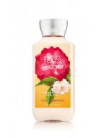 ****Bath & Body Works White Tea & Ginger Shea & Vitamin E Body Lotion 236 ml. Ū蹺اش 㺪Ҽ蹢ԧ͹ عҧԴ С蹨աѤҪ蹹Ţ 繡蹷ҡ¤