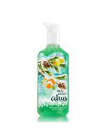 **พร้อมส่ง**Bath & Body Works Snow-Kissed Citrus Deep Cleansing Hand Soap 236 ml. เจลล้างมือฆ่าเชื้อโรค ใช้กับน้ำ มีเม็ดสครับช่วยขัดผิวมือให้สะอาดยิ่งขึ้น มีกลิ่นหอมติดทนนาน โทนกลิ่นมะนาวหอมนุ่มๆหวานๆ เหมือนขนมกลิ่นมะนาวคะ **พร้อมส่ง**Bath & Body Works Snow-Kissed Citrus Deep Cleansing Hand Soap 236 ml. เจลล้างมือฆ่าเชื้อโรค ใช้กับน้ำ มีเม็ดสครับช่วยขัดผิวมือให้สะอาดยิ่งขึ้น มีกลิ่นหอมติดทนนาน โทนกลิ่นมะนาวหอมนุ่มๆหวานๆ เหมือนขนมกลิ่นมะนาวคะ