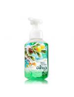**พร้อมส่ง**Bath & Body Works Snow-Kissed Citrus Gentle Foaming Hand Soap 259 ml. โฟมล้างมือเนื้อโฟมนุ่ม อ่อนโยนต่อผิวบำรุงผิวให้ผิวนุ่มชุ่มชื่นไม่แห้งตึงหลังการใช้ โทนกลิ่นมะนาวหอมนุ่มๆหวานๆ เหมือนขนมกลิ่นมะนาวคะ **พร้อมส่ง**Bath & Body Works Snow-Kissed Citrus Gentle Foaming Hand Soap 259 ml. โฟมล้างมือเนื้อโฟมนุ่ม อ่อนโยนต่อผิวบำรุงผิวให้ผิวนุ่มชุ่มชื่นไม่แห้งตึงหลังการใช้ โทนกลิ่นมะนาวหอมนุ่มๆหวานๆ เหมือนขนมกลิ่นมะนาวคะ